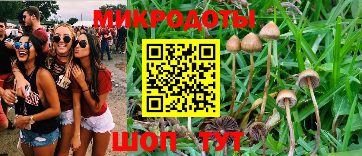 Галлюциногенные грибы Psilocybe  цена   Лангепас  Вход с VPN 